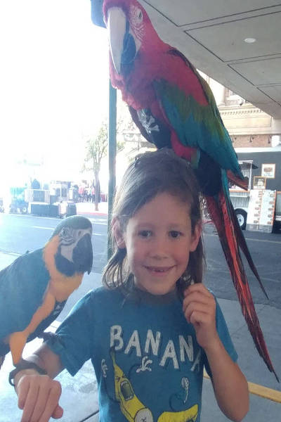 small child with both birds